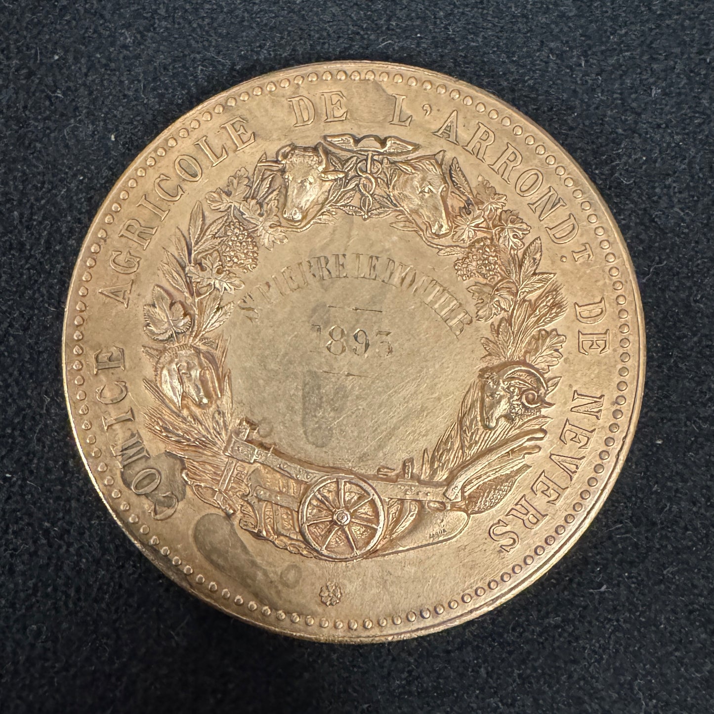 Médaille ancienne en bronze « comice agricole Nevers 1893 »