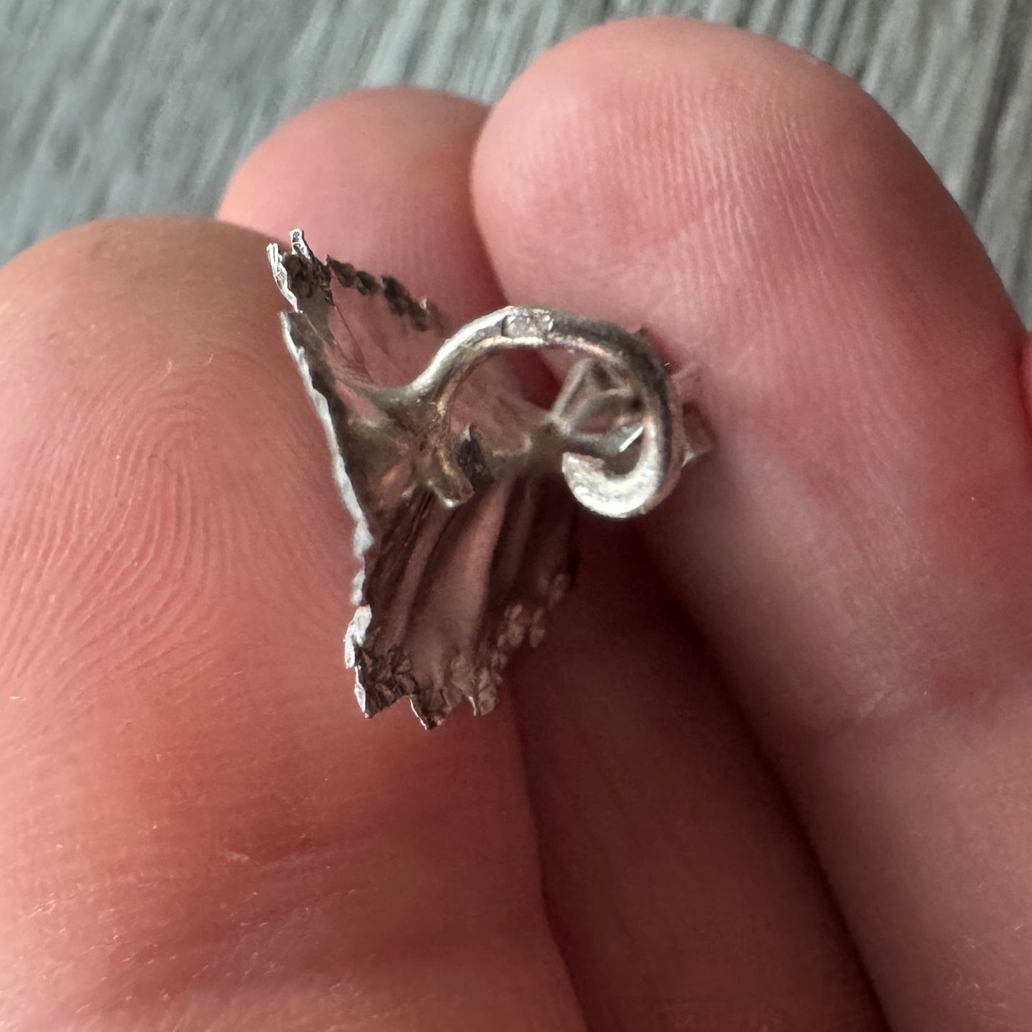 Broche ancienne vers 1900 « feuille » - argent