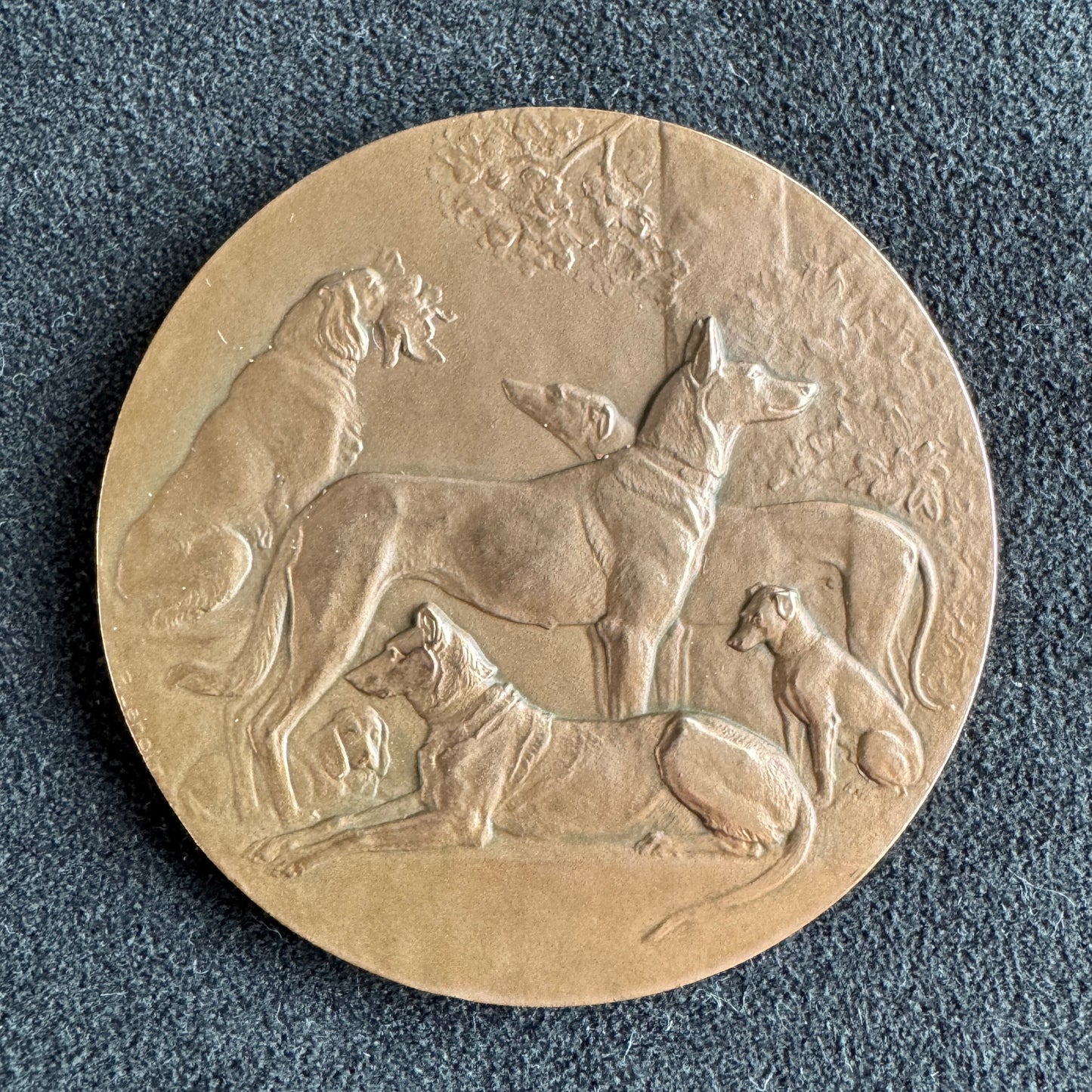 Medaille ancienne en bronze « concours canin »