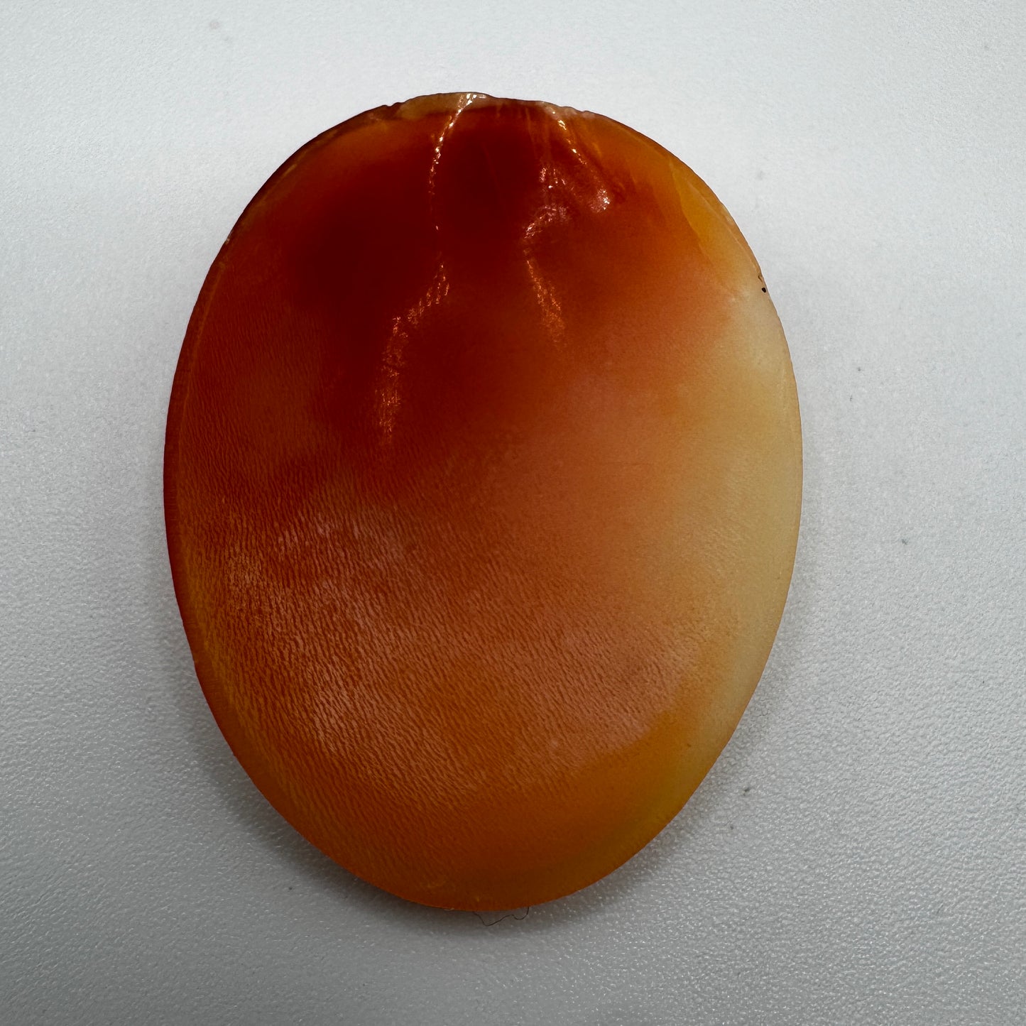 Superbe Camée ancien - coquillage sculpté