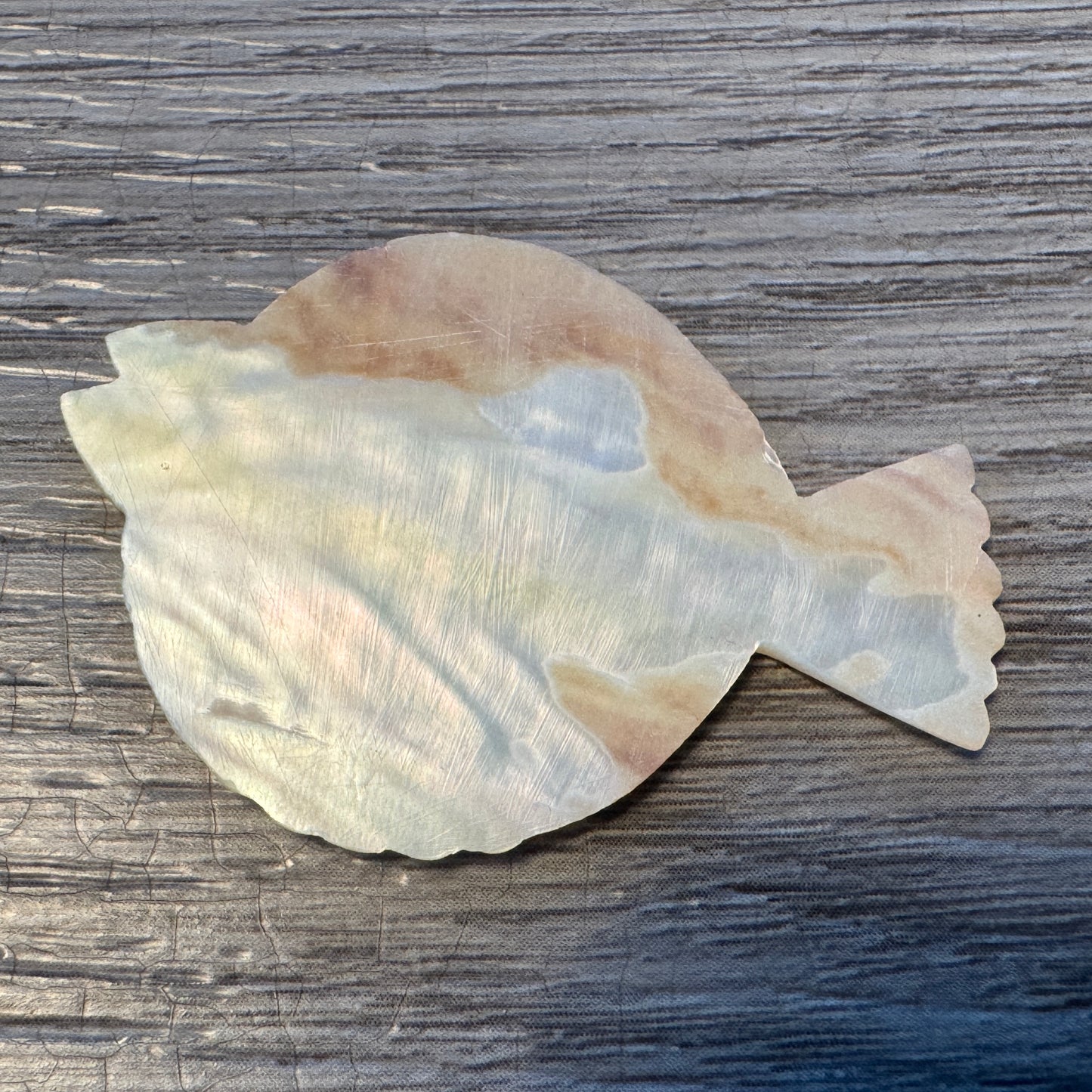 Jeton ancien XIXe « poisson plat » - nacre