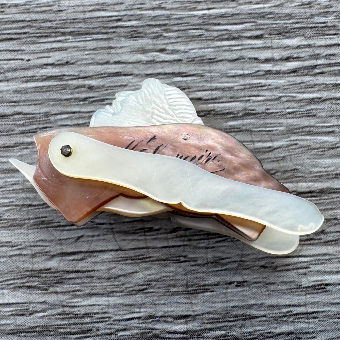 Cure ongle - Souvenir de bord de mer St Nazaire vers 1900 « la plongeuse »