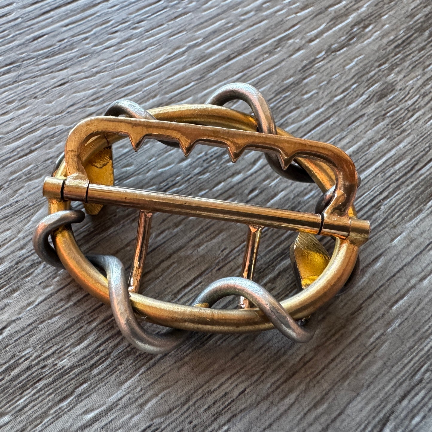 Boucle de ceinture en bronze doré Art Nouveau - motif serpents