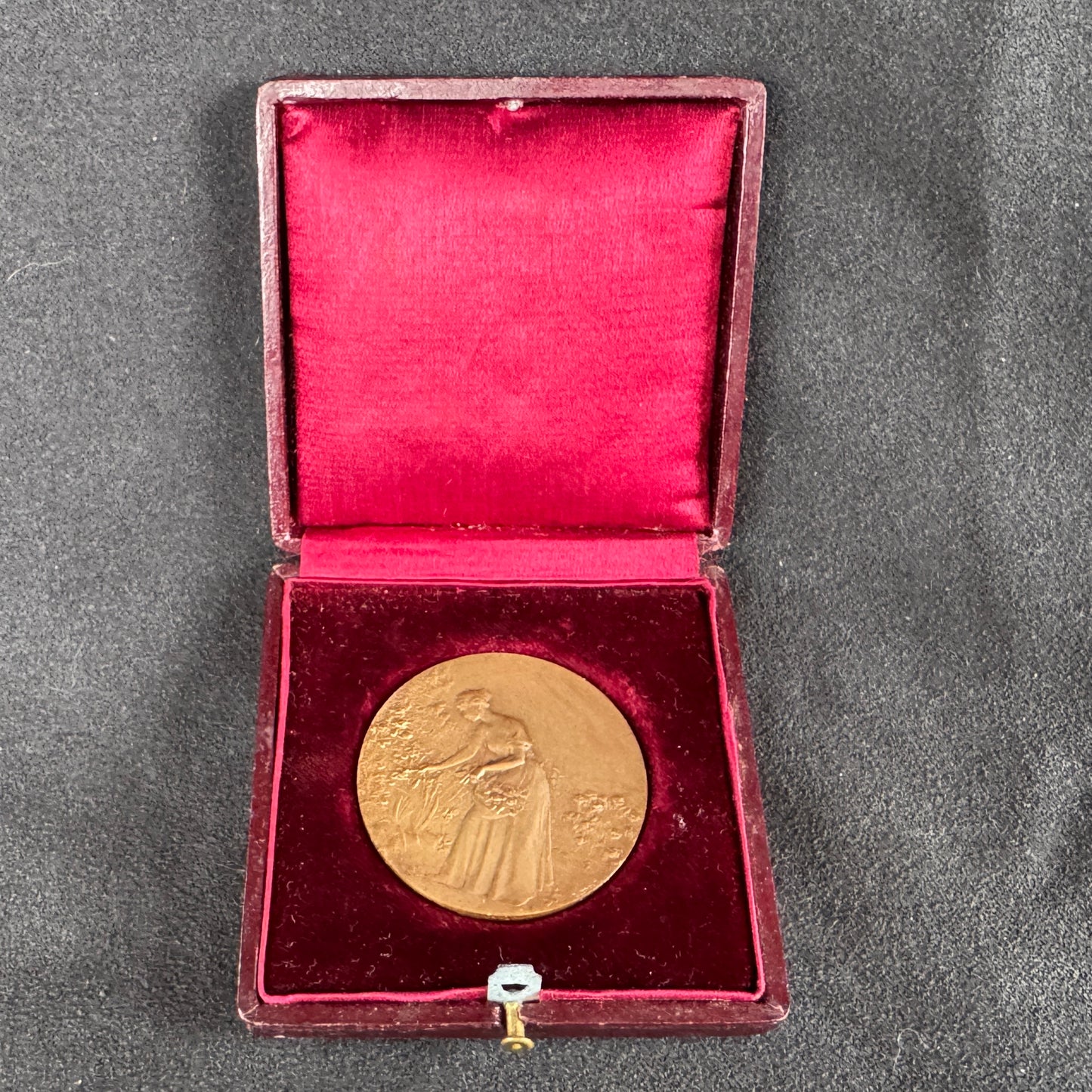 Médaille ancienne en bronze « comice agricole de Montargis »