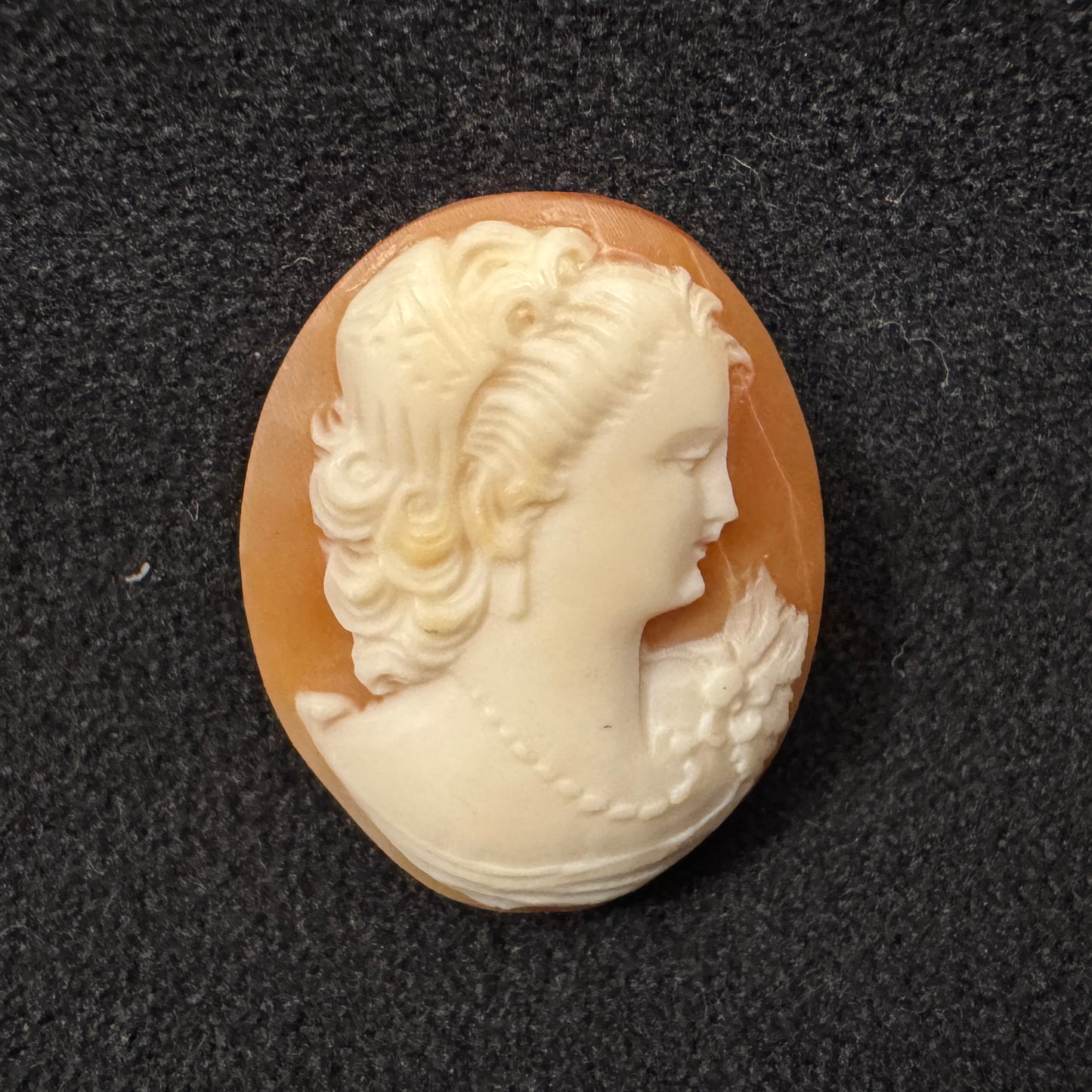 Camée ancien fin XIXe - coquillage sculpté