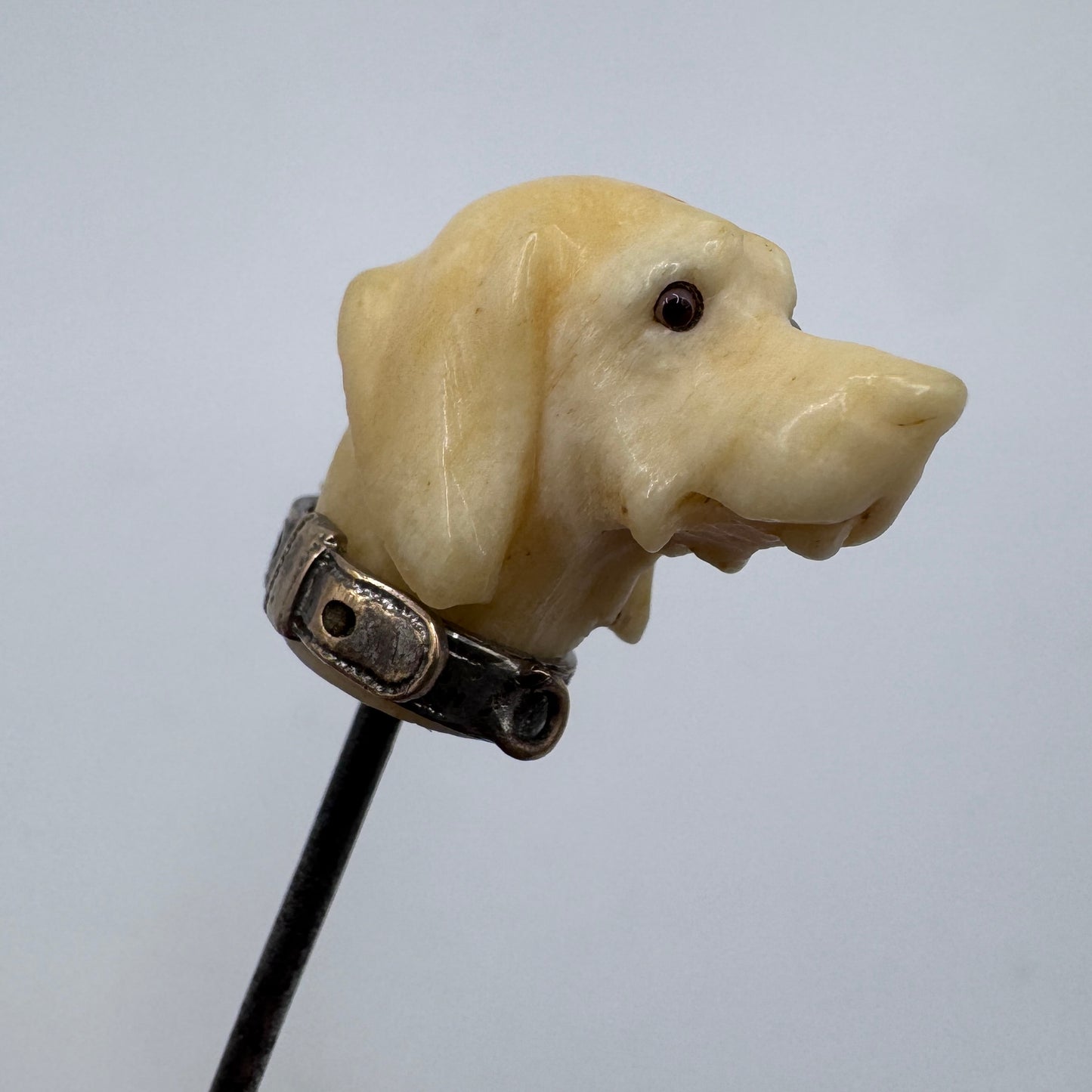 Rare Épingle de vénerie ancienne « tête de chien » - os sculpté et yeux sulfure