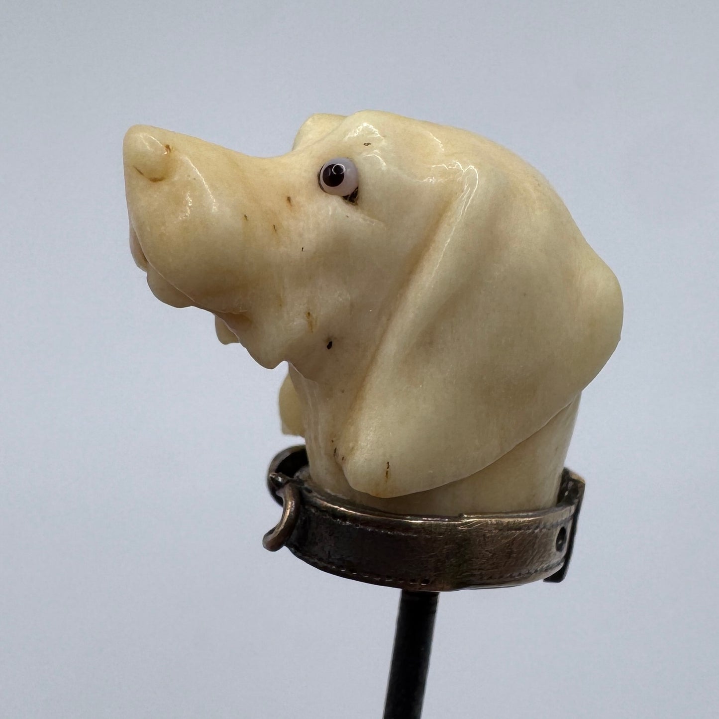 Rare Épingle de vénerie ancienne « tête de chien » - os sculpté et yeux sulfure