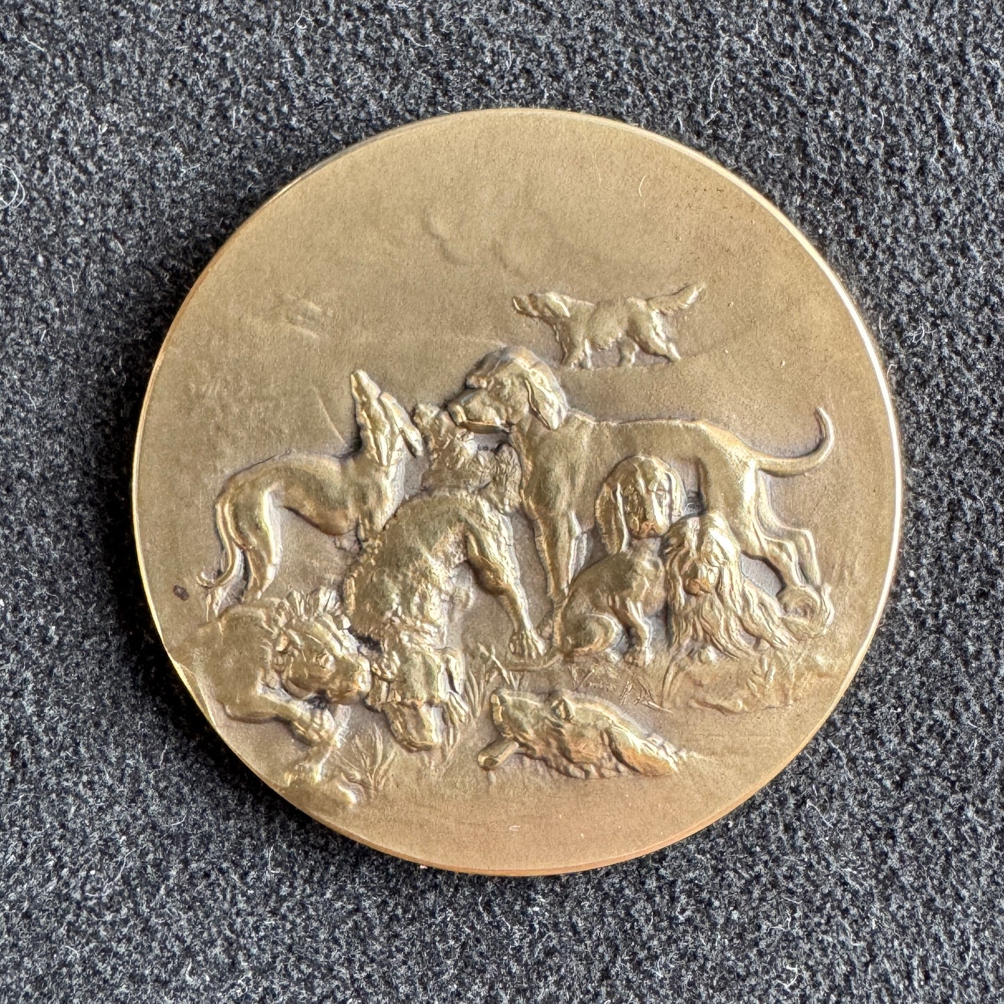 Medaille ancienne en bronze « concours canin »