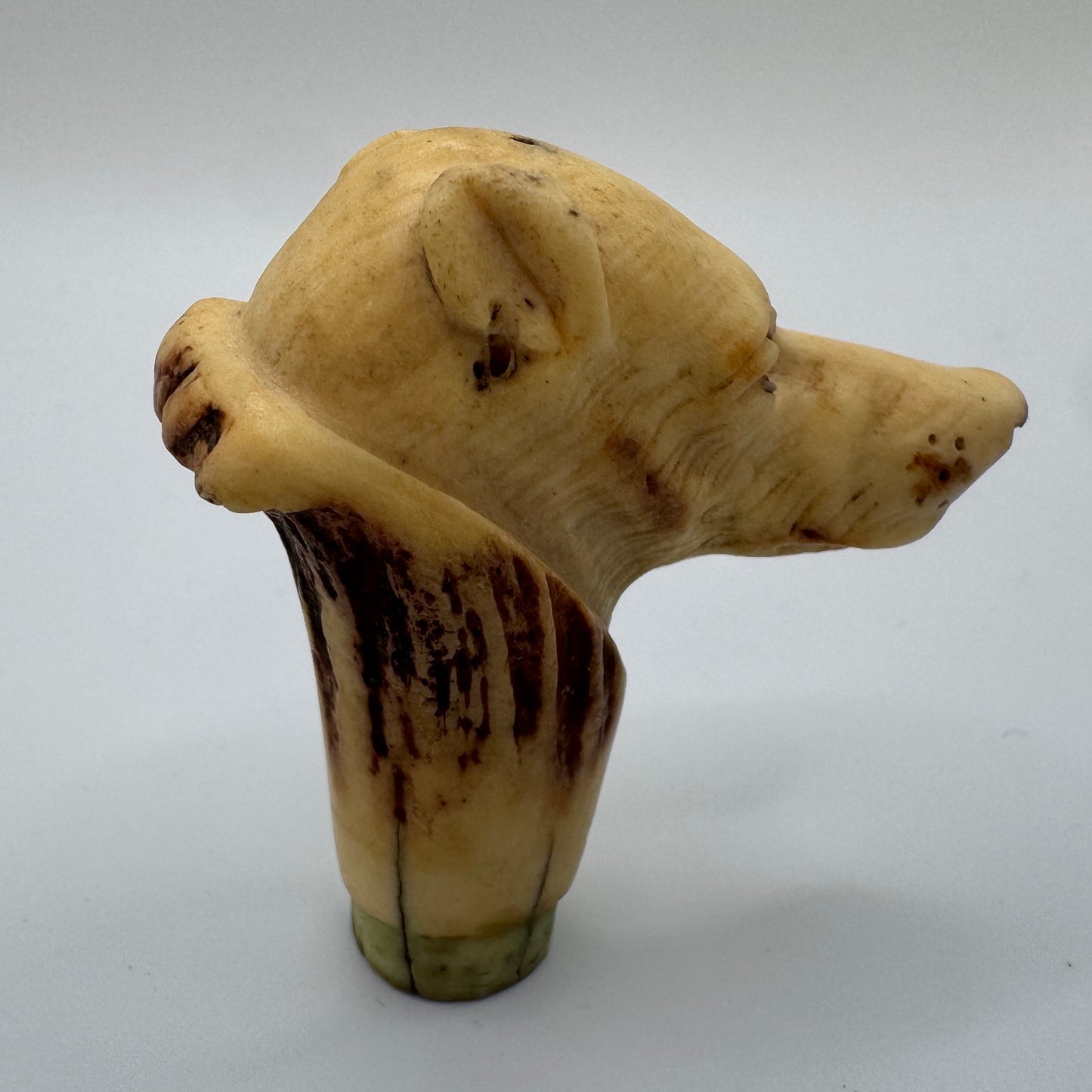 Petit Pommeau de canne ancien XIXe « tête de chien » - travail en bois de cerf