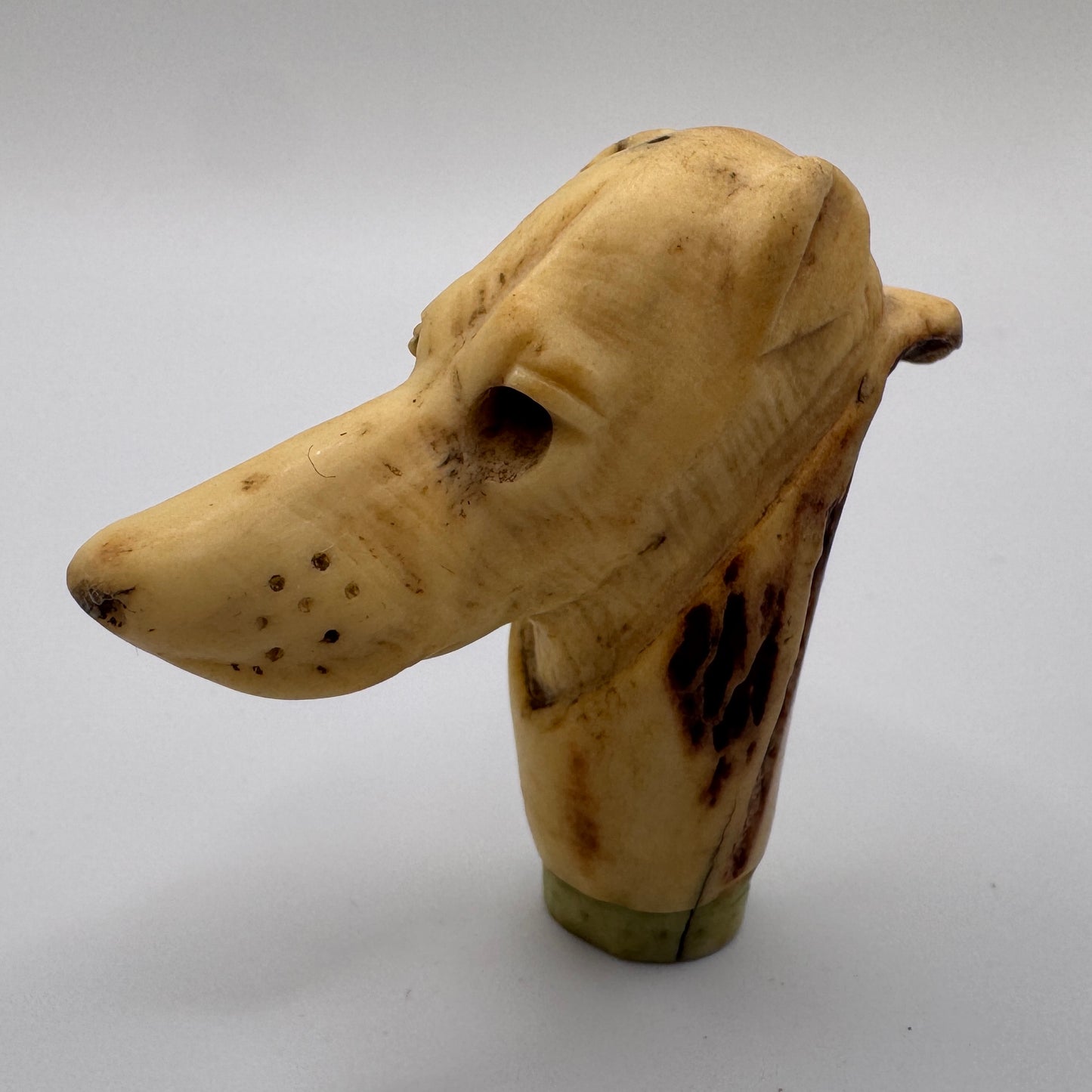 Petit Pommeau de canne ancien XIXe « tête de chien » - travail en bois de cerf