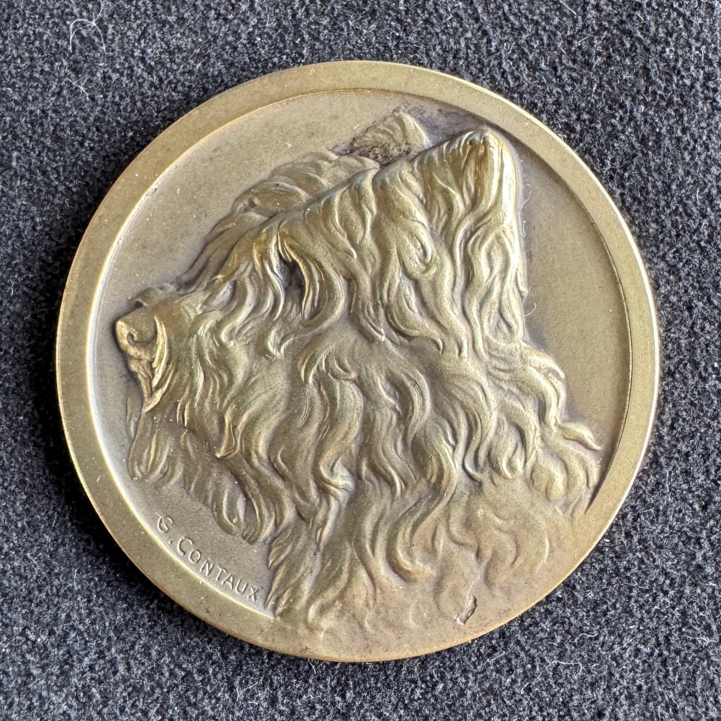 Medaille ancienne en bronze « concours canin » signée Contaux