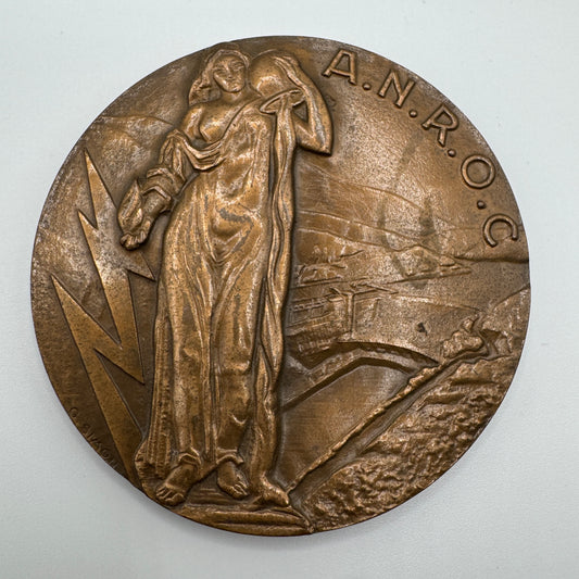 Médaille artistique en bronze « Industrie de l’électricité » - par G. Simon