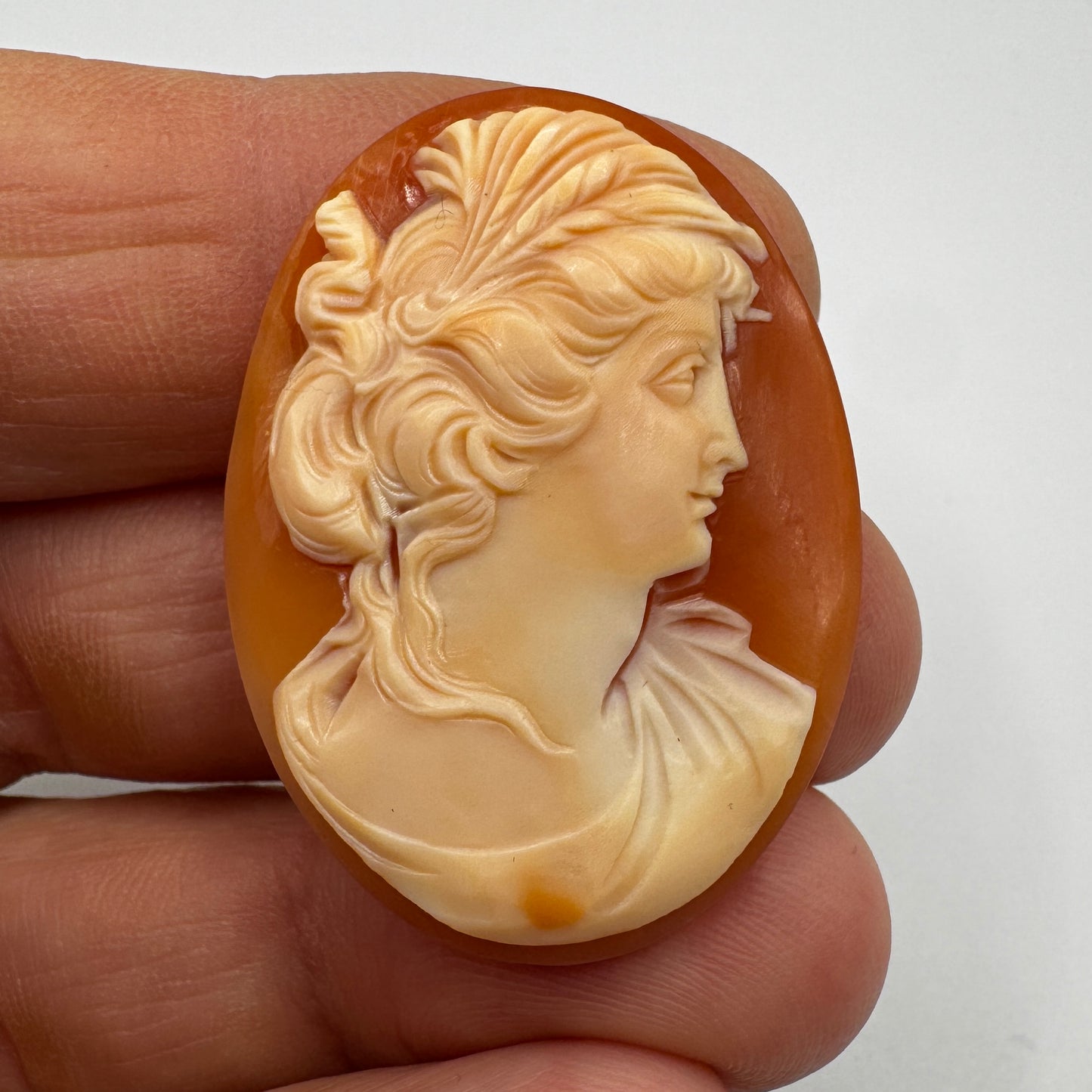 Superbe Camée ancien - coquillage sculpté