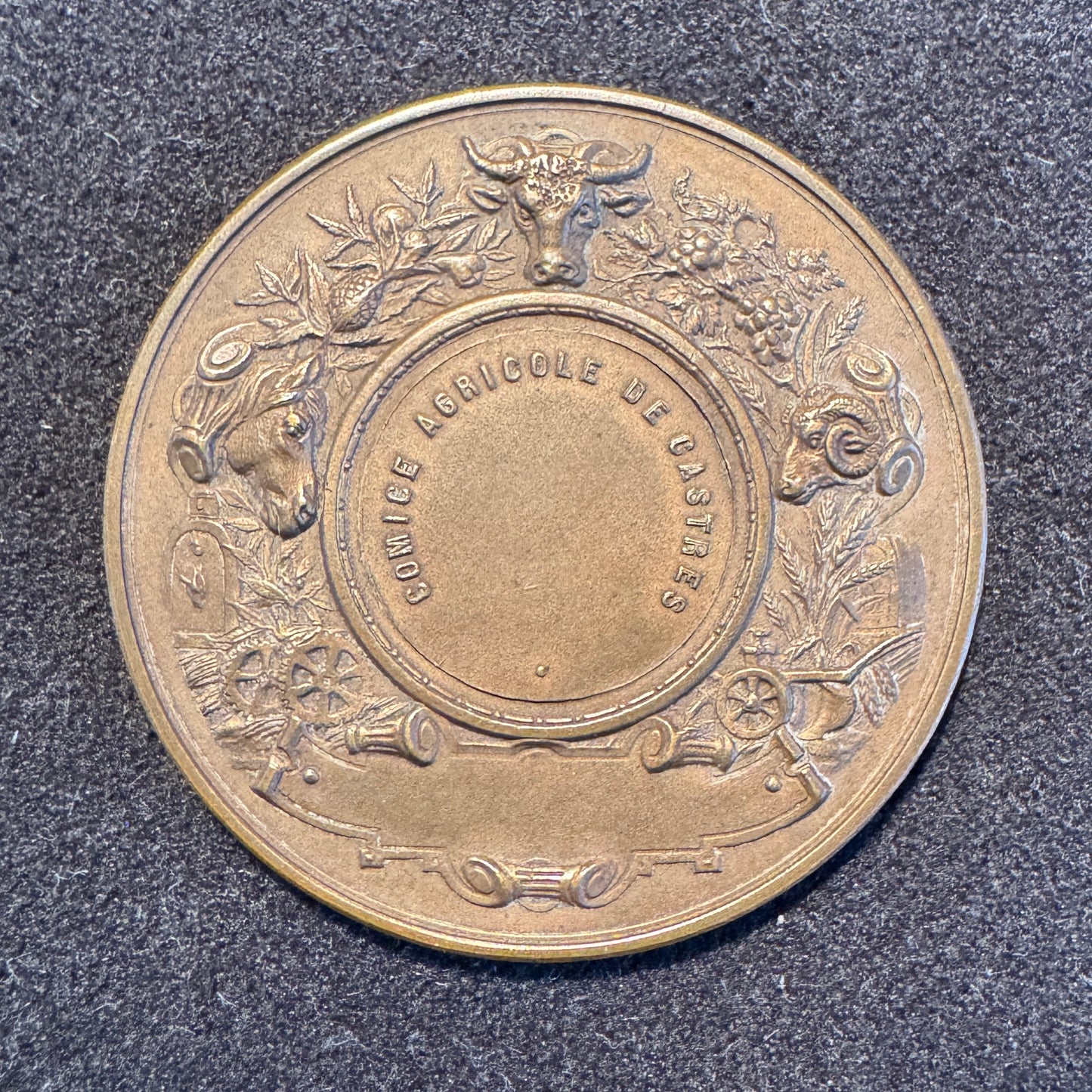 Médaille ancienne « Comice agricole de Castres » - par Desaide