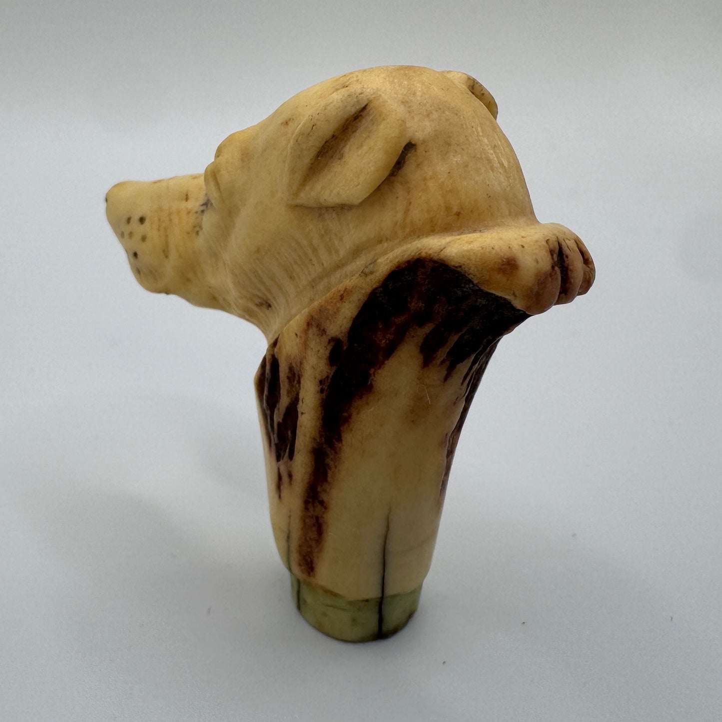 Petit Pommeau de canne ancien XIXe « tête de chien » - travail en bois de cerf