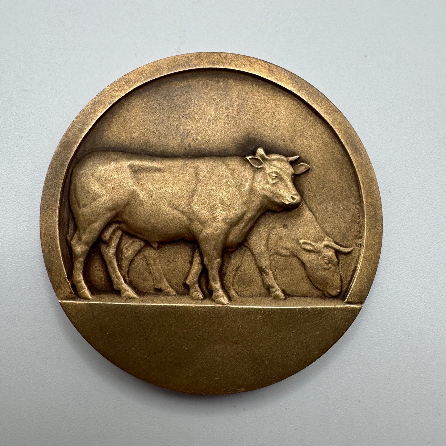 Médaille ancienne en bronze- décor vache- médaille agricole-objet de collection