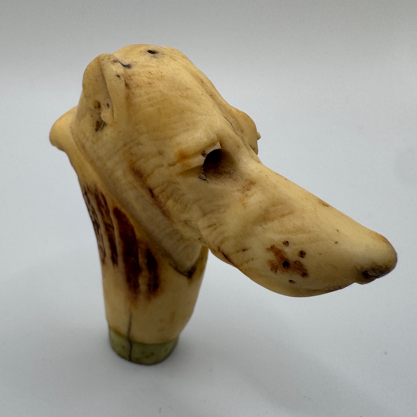 Petit Pommeau de canne ancien XIXe « tête de chien » - travail en bois de cerf