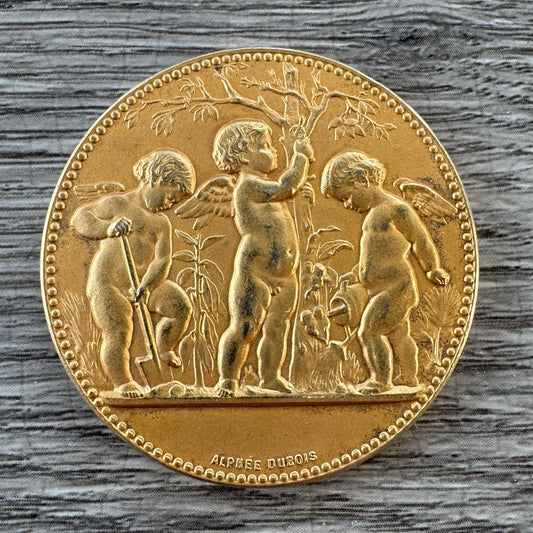 Medaille ancienne en argent vermeil « société d’horticulture de la Nièvre »