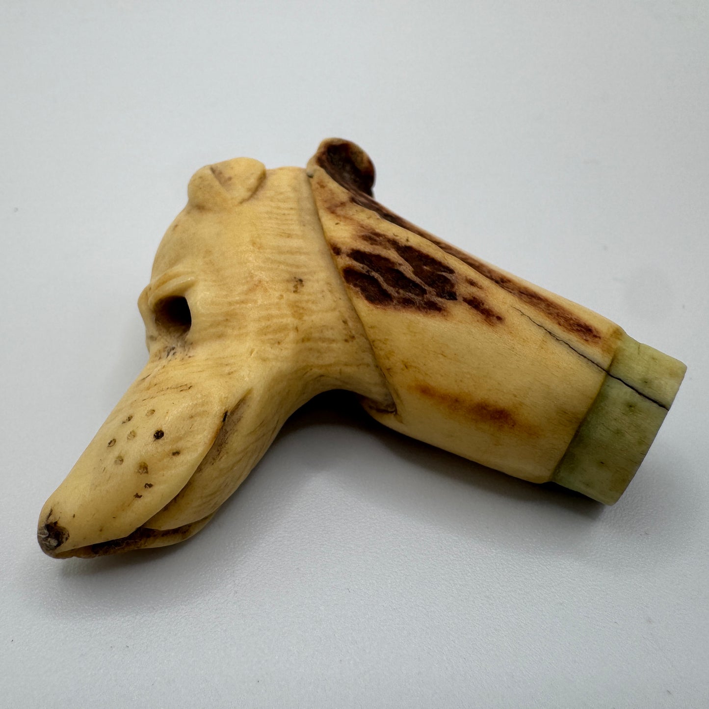 Petit Pommeau de canne ancien XIXe « tête de chien » - travail en bois de cerf