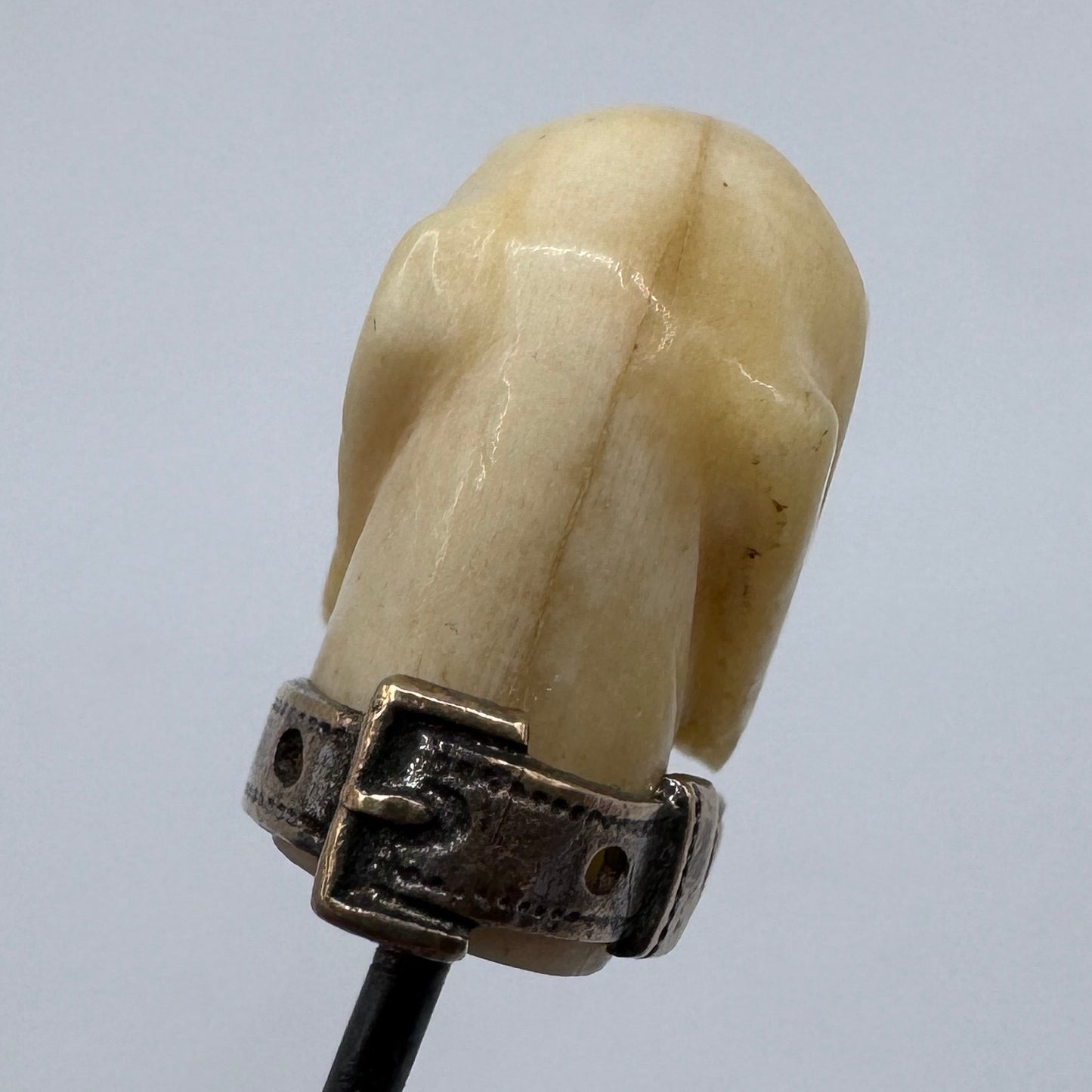 Rare Épingle de vénerie ancienne « tête de chien » - os sculpté et yeux sulfure