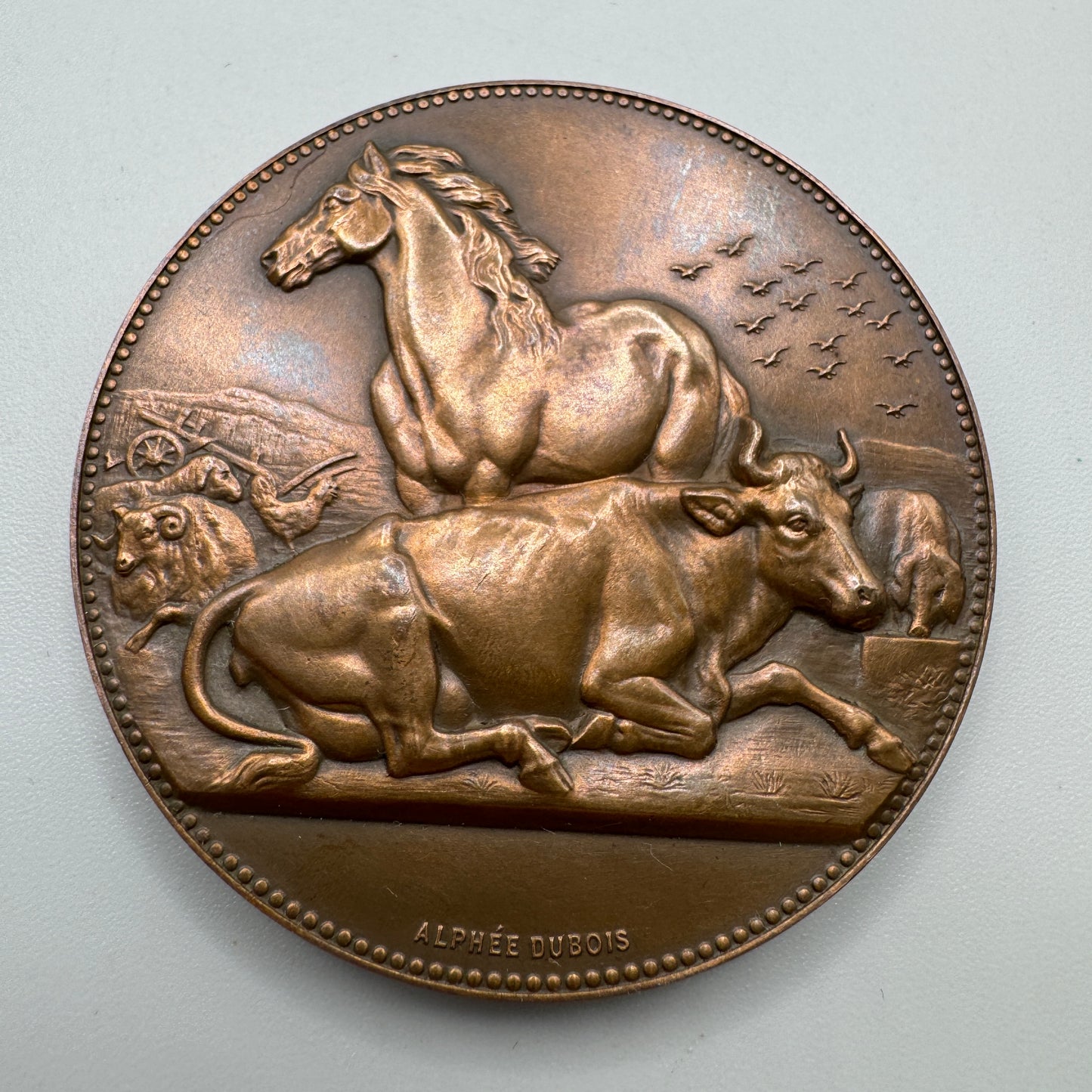 Médaille ancienne en bronze - Comice agricole de la Puisaye