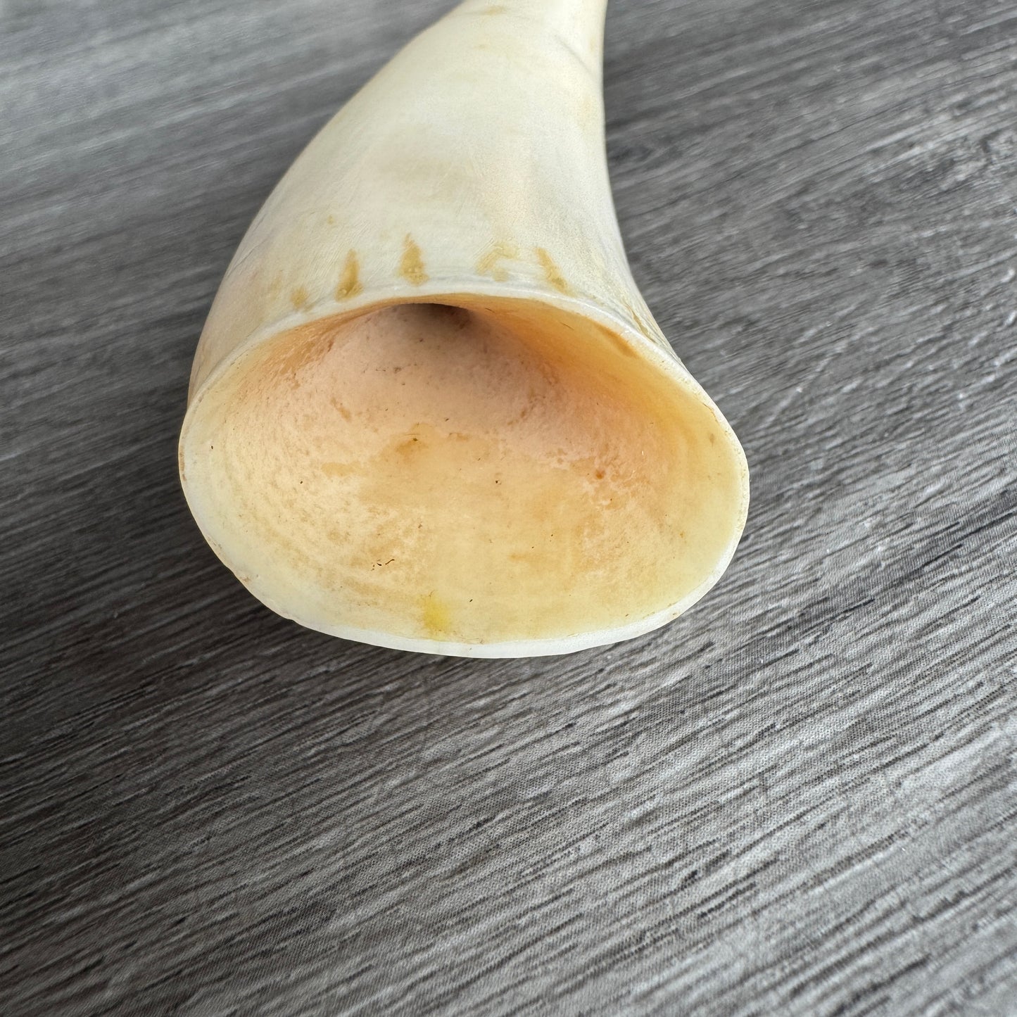 Curiosité ancienne - Dent de cachalot - souvenir de marin