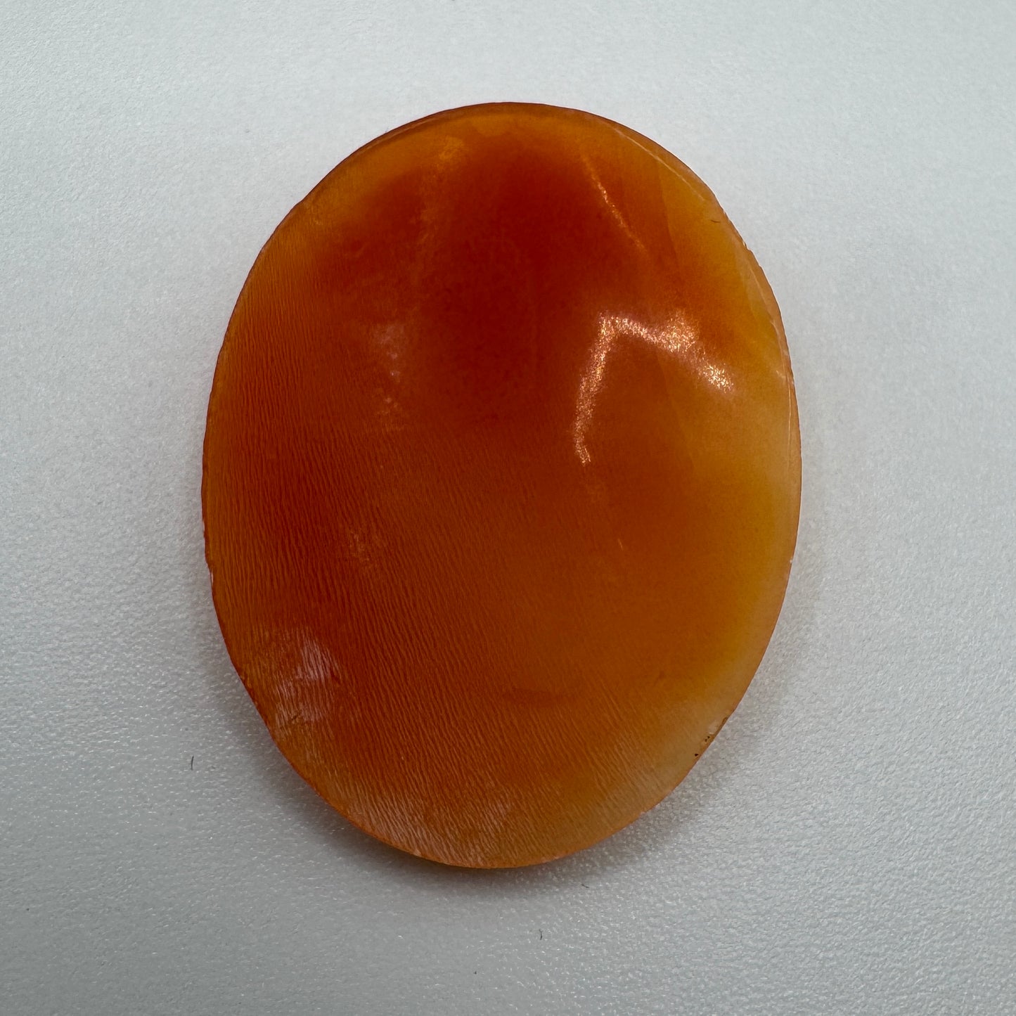 Camée ancien - coquillage sculpté