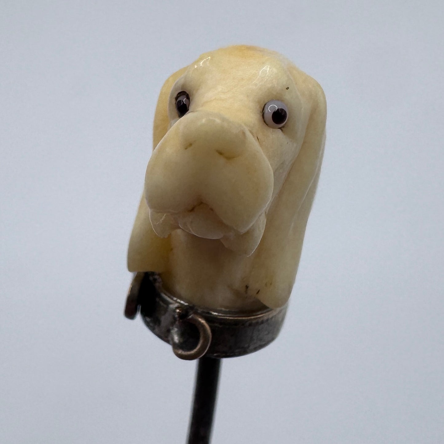 Rare Épingle de vénerie ancienne « tête de chien » - os sculpté et yeux sulfure