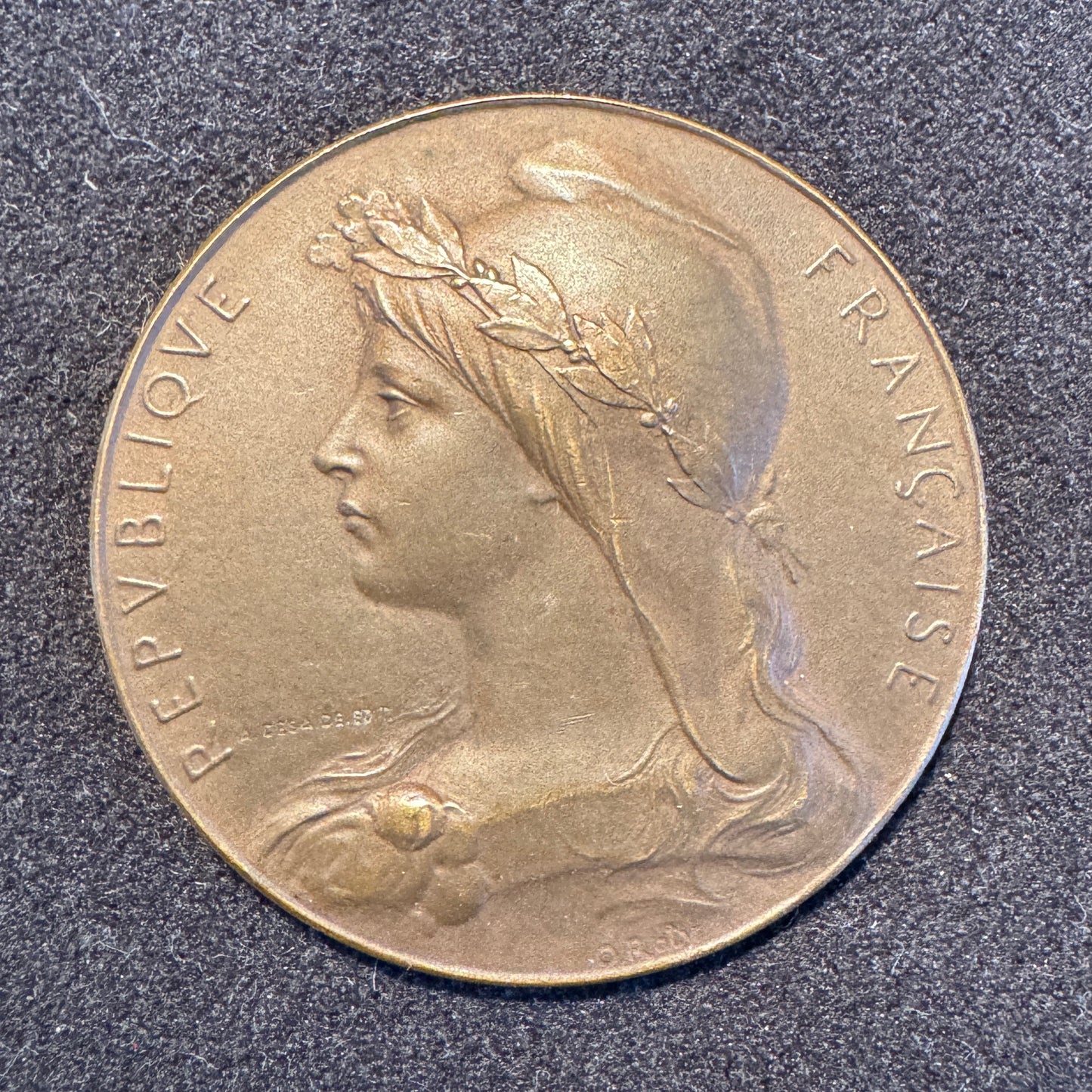 Médaille ancienne « Comice agricole de Castres » - par Desaide